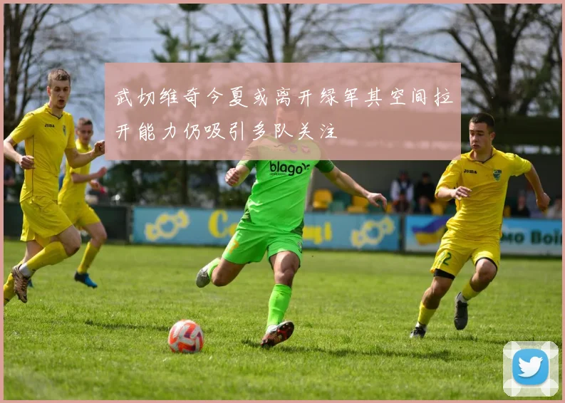武切维奇今夏或离开绿军其空间拉开能力仍吸引多队关注